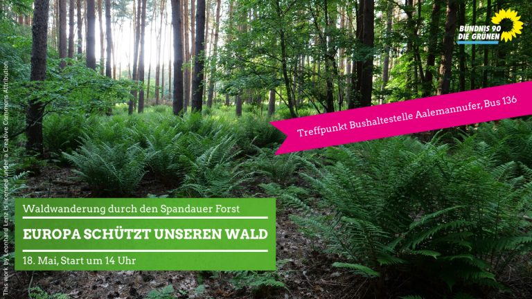 Europa schützt unseren Wald – Waldwanderung durch den Spandauer Forst