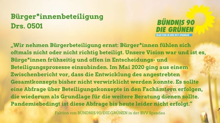 BVV-Tagebuch #4 – Bürger*innenbeteiligung