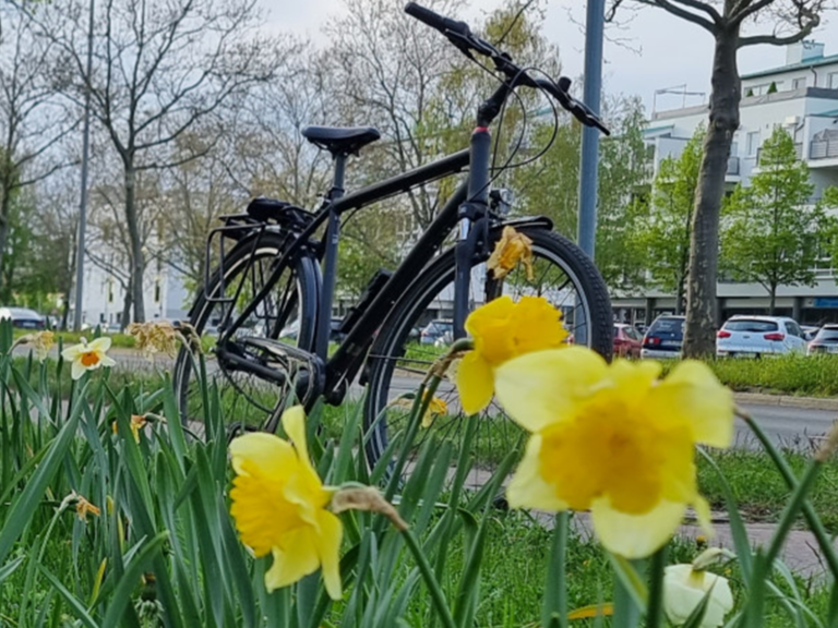 Fahrradwege: Raum fürs Rad