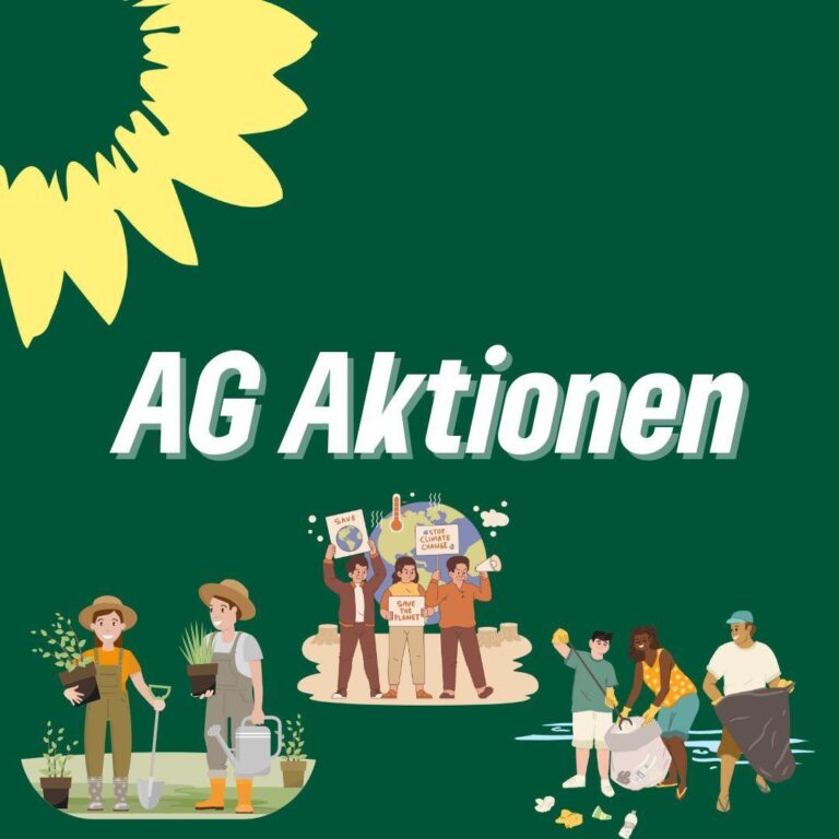 Treffen der AG Aktionen